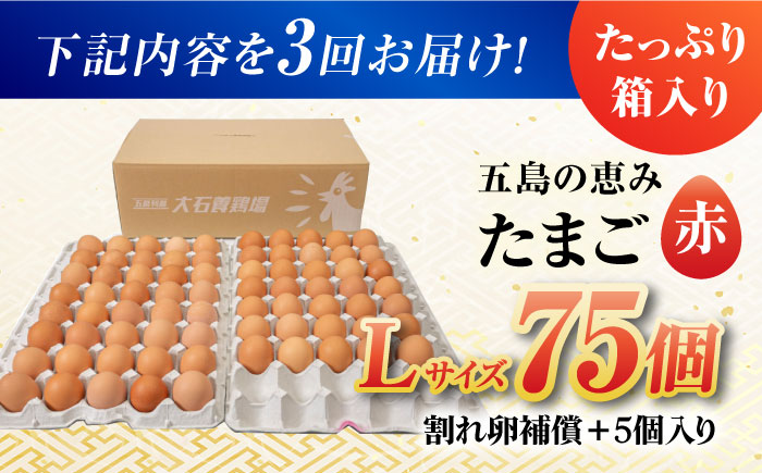 【全3回定期便】【お得な箱入り】五島の恵みたまご Lサイズ 75個入 / 卵 赤玉子五島市 / 五島列島大石養鶏場 [PFQ017]