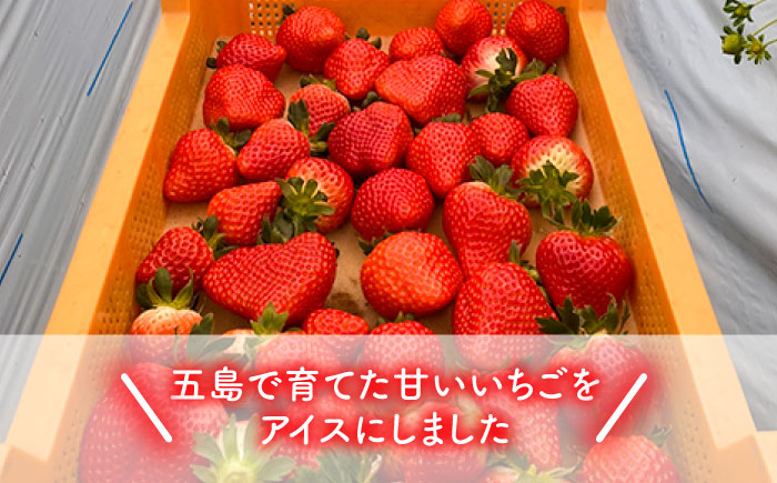 【濃厚で甘酸っぱいいちごの香りがたまらない】五島産いちごアイス １０個入 五島市/野原農園 [PCM002]