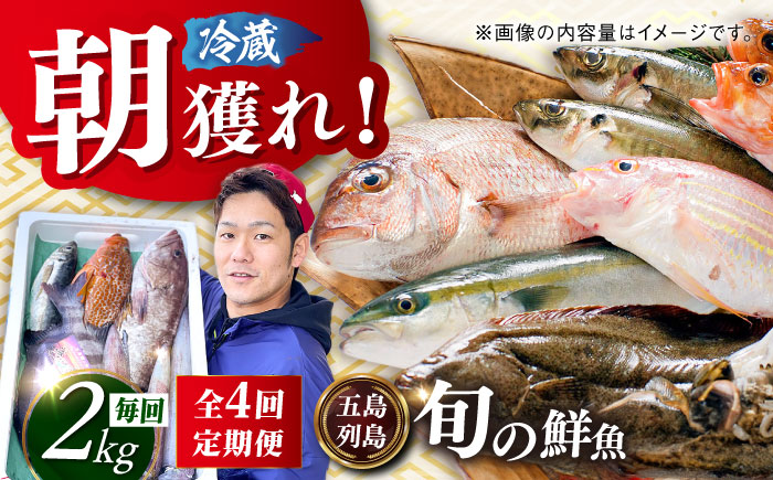 【全4回定期便】【五島列島直送】朝獲れ鮮魚セット2kg 五島市/鯛福丸水産[PDP013]   魚 鮮魚 セット 海鮮 直送 さかな 詰合せ 冷蔵