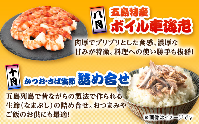 【6回定期便】五島のお魚！満喫定期便（2人前）/五島市 [PZX053]