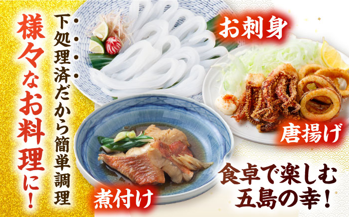 【冷蔵】【下処理済】鮮魚ボックス（魚1種/アオリイカ）五島市/金沢鮮魚[PEP001] 金澤仕立て  鮮魚 冷蔵 真空パック 新鮮 下処理済み 海鮮 刺身 セット 水いか