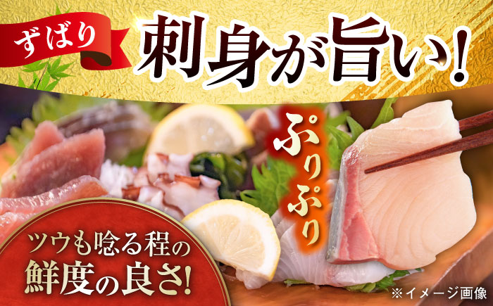 【五島列島直送】朝獲れ高級鮮魚セット4kg 五島市 / 鯛福丸水産[PDP003]  魚 鮮魚 セット 海鮮 直送 さかな 詰合せ 冷蔵