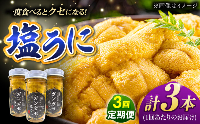 【全3回定期便】厄介うに ガンガゼ塩うに 70g×3本 / ウニ 雲丹 五島市 / うた丸 [PGA003]