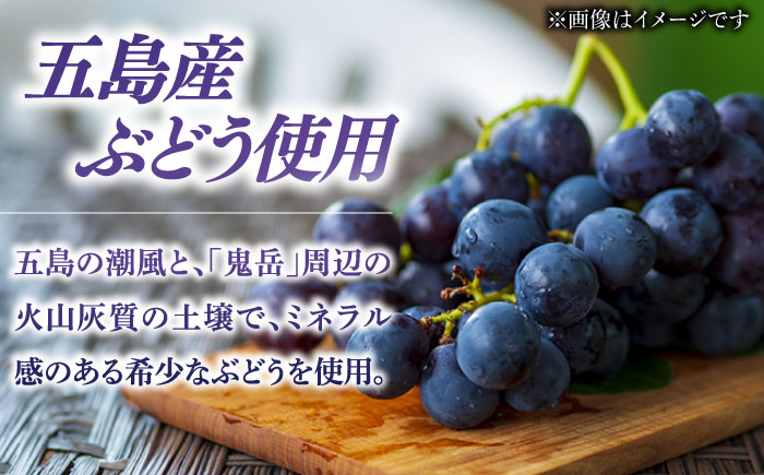 五島ワイン ルージュ リザーヴ（赤）2024　お酒 ワイン　ぶどう 家飲み 酒 五島市/五島ワイナリー [PAG037]