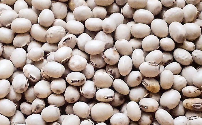 ムクナ豆 粉末300g 五島市/五島列島自然のめぐみ [PGM002]