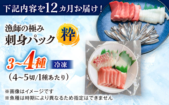【全12回定期便】漁師の極み刺身パック（粋）1皿 五島市/Sun Sea Go Company 魚 おまかせ お任せ 鮮魚 五島列島 [PGL020]