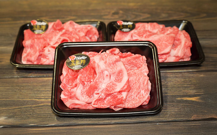 【12回定期便】五島牛 切り落とし 600g（200g×3P）五島市/meat shop FUKU [PHF016]