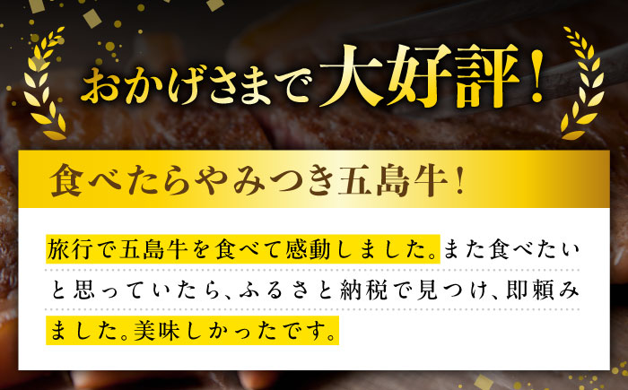 やみつき 五島牛 サーロインステーキ 750g（250g×3枚） A4 A5 国産 五島市/肉のマルヒサ [PCV054]