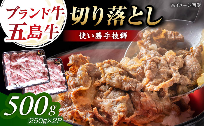 五島牛 切り落とし 500g（250g×2p） 五島市/五島牛 肉のむらおか [PGP005]
