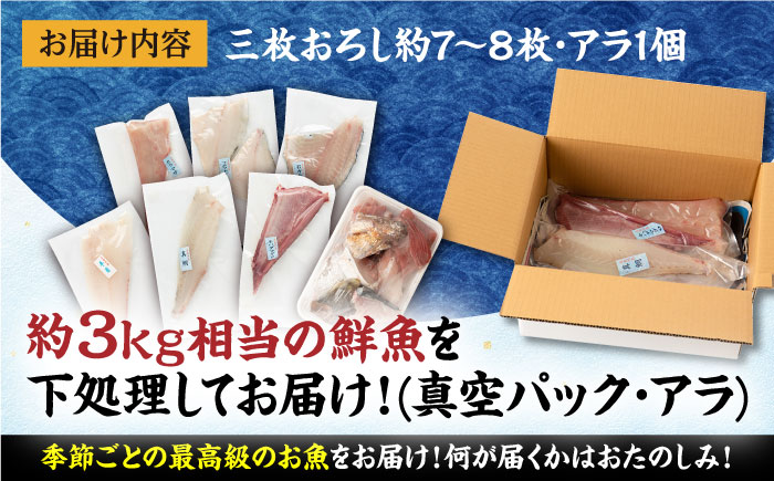 【五島列島産】高級朝獲れ鮮魚 約3kg（真空パック/下処理済） 五島市/マルセイ水産[PBT001]  刺身 五島 久賀島 海鮮 セット 旬 さかな さしみ 