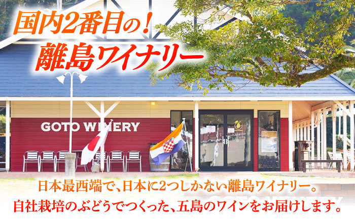 五島ワイン ルージュ リザーヴ（赤）2024　お酒 ワイン　ぶどう 家飲み 酒 五島市/五島ワイナリー [PAG037]