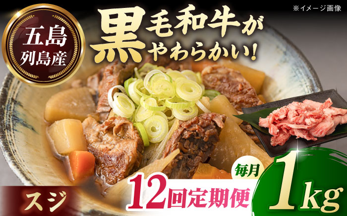【全12回定期便】五島列島産 黒毛和牛 スジ 1kg 五島市/山口Farm [PGJ028]