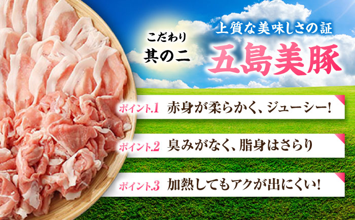 【6回定期便】五島美豚 薄切り2kg (ロース1kg/バラ1kg) 五島市/ごとう農業協同組合 [PAF059]