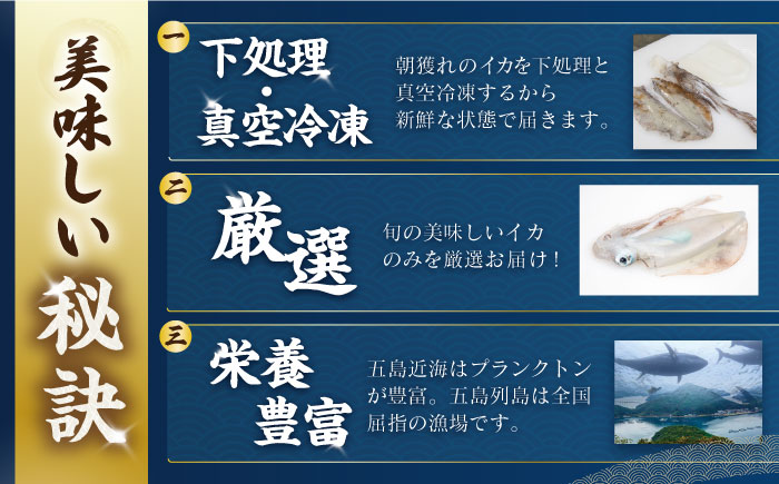 【イカの王様】アオリイカ 300g前後×4杯 肉厚 甘い 冷凍 刺身 五島市/金沢鮮魚 [PEP005] 