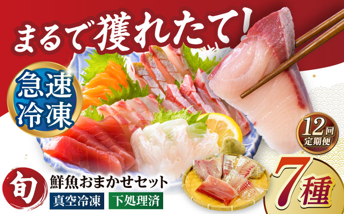 【12回定期便】【下処理済】超速冷凍鮮魚7種（5種+焼物用2種）五島市/金沢鮮魚[PEP071]