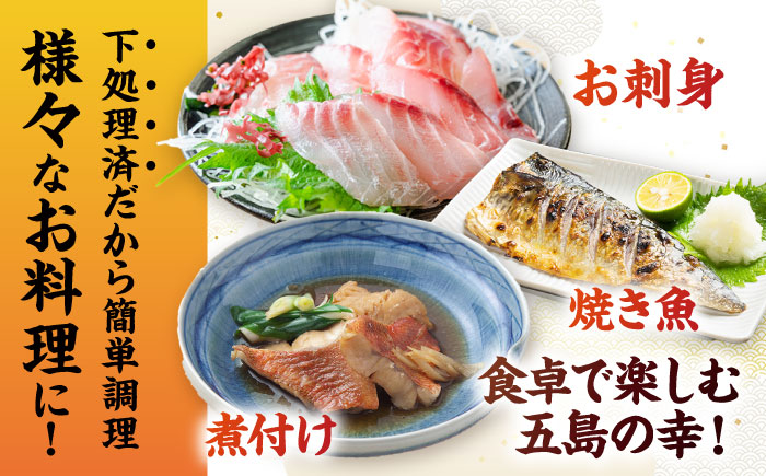 【3回定期便】【下処理済】超速冷凍鮮魚6種（5種+焼物用1種） 五島市/金沢鮮魚[PEP065]魚 鮮魚 鮮魚ボックス