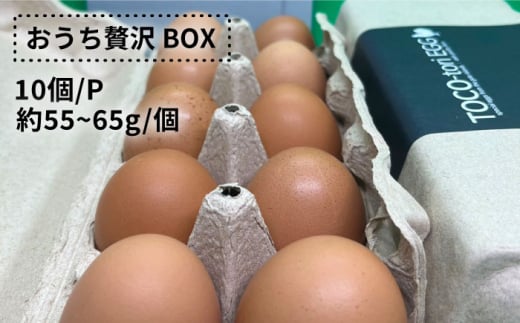 【黄身がつかめる！ブランド卵】TOCO-tori EGG おうち贅沢ボックス 卵 20個入 高級卵 たまご 五島市 / 五島列島大石養鶏場 [PFQ002]