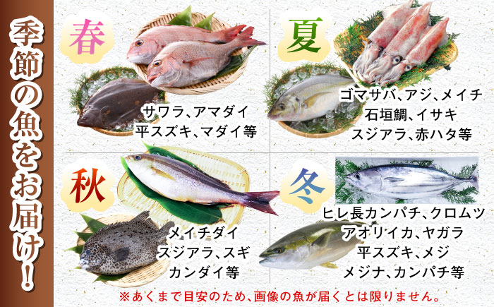 【五島列島直送】朝獲れ鮮魚セット2kg 五島市/鯛福丸水産[PDP008]  鮮魚 セット 冷蔵 魚 海鮮 直送 さかな 詰合せ