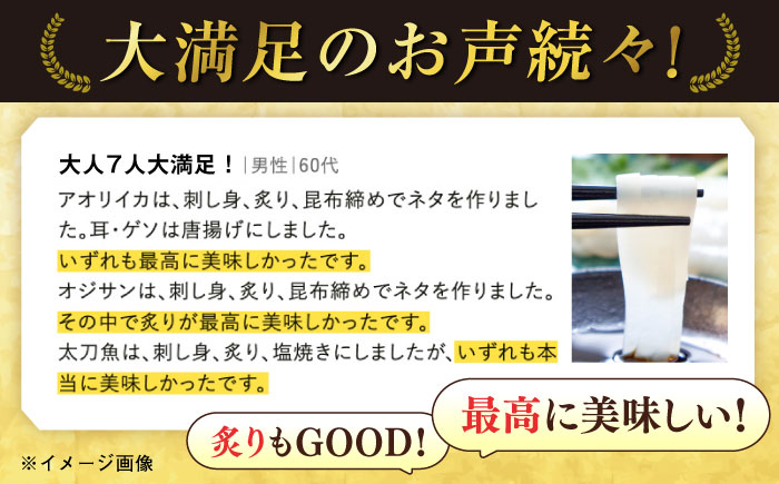 【五島列島直送】朝獲れ高級鮮魚セット6kg 五島市 / 鯛福丸水産[PDP004]  魚 鮮魚 セット 海鮮 直送 さかな 詰合せ 冷蔵