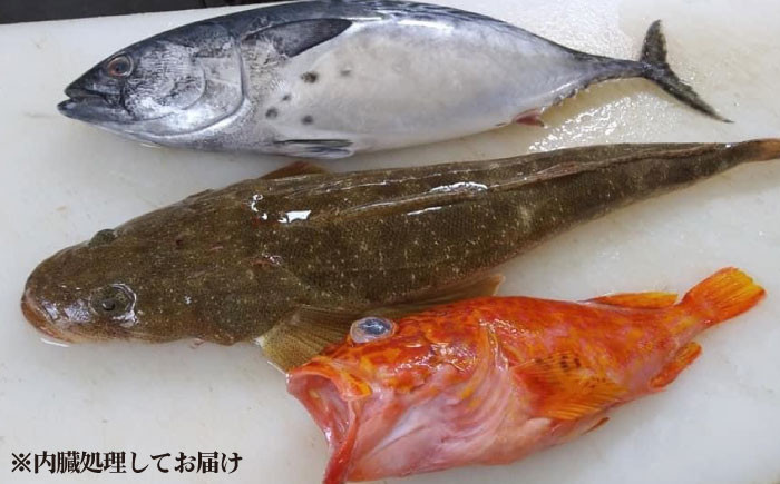 旬の地魚セット2kg（ウロコ・エラ・内臓処理済）鮮魚 魚介 刺身 五島市 / 五島FF [PBJ009]