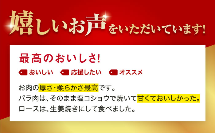 【全12回定期便】【ふわっとまろやかな口どけ。五島の自然の恩恵をうけた豚肉！】五島美豚 焼肉セット （ロース・バラ 1kg×12回 計12kg）【ごとう農業協同組合】 [PAF015]