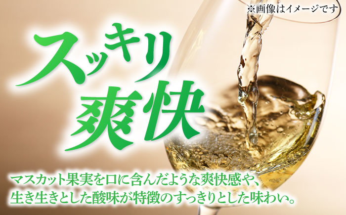 スパークリングワイン ナイアガラ2024 マスカット ぶどう 家飲み 酒 お酒 ワイン 五島市/五島ワイナリー [PAG032]