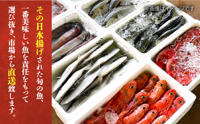 【全4回定期便】五島列島直送！朝獲れ鮮魚セット4kg　鯛福丸水産/五島市 [PDP014]