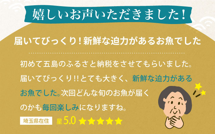 【全4回定期便】旬の地魚セット（3枚卸し）2〜3人前 真空パック 魚介 刺身 五島市 / 五島FF [PBJ001]