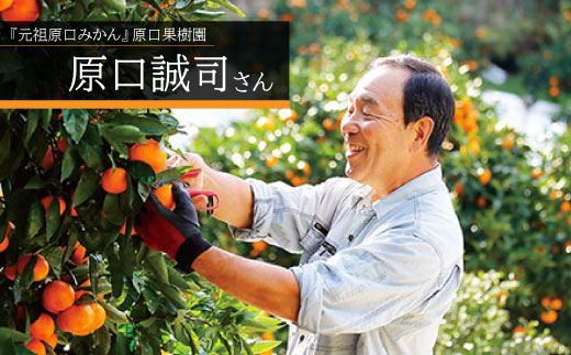 【10月上旬より順次発送】岩崎みかん （極早生）5kg ＜原口果樹園＞ [CCW008] 岩崎みかん みかん 果物 フルーツ