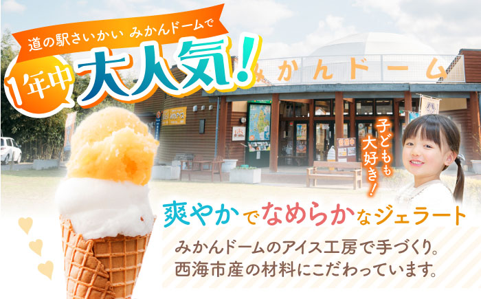 【年中人気】 【3回定期便】 おまかせジェラート  6個 ＜みかんドーム＞ [CAI028]