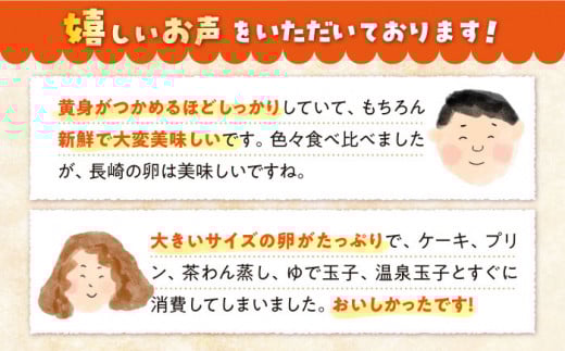 まつもとたまご Lサイズ 赤玉 40個（10個×4パック） ＜松本養鶏場＞[CCD001] 長崎県産 西海市 たまご 卵 玉子 タマゴ 鶏卵 オムレツ 卵かけご飯 朝食 料理 人気 卵焼き 