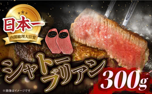 長崎和牛 シャトーブリアンステーキ 計300g （2枚）＜株式会社 黒牛＞ [CBA014] 長崎 西海 和牛 国産 牛肉 ヒレ ステーキ ブランド牛 贈答 ギフト お祝い