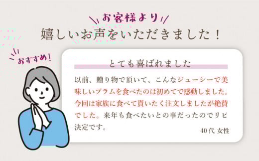 プラム 貴陽 計1kg（5〜6玉）＜竹嶋農園＞ [CEB001] 西海市産 貴陽 プラム すもも 桃 果物 フルーツ 贈答 ギフト 贈り物 プラム 