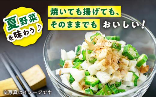 【先行予約】朝採れ オクラ約2kg ＜パッパラパー農園＞ [CFI004 おくら オクラ 野菜 夏野菜 新鮮 やさい おくら 贈答