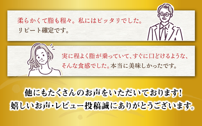長崎和牛 ヒレステーキ 計1kg（6〜8枚）＜大西海ファーム＞ [CEK131] 牛肉 ヒレ ステーキ すてーき ひれ ヒレ ステーキ すてーき ヒレ肉 牛肉