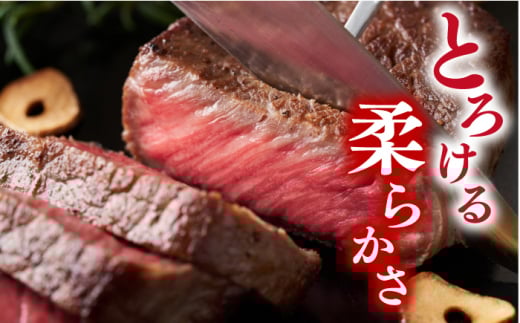 【A4〜A5】 長崎和牛 モモ ステーキ 計1.5kg（100g×15p）＜株式会社MEAT PLUS＞ [CFT014] 長崎 和牛 牛肉 ステーキ モモステーキ