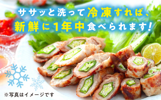 【先行予約】朝採れ オクラ約2kg ＜パッパラパー農園＞ [CFI004 おくら オクラ 野菜 夏野菜 新鮮 やさい おくら 贈答