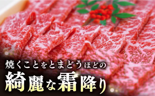 【希少部位】長崎和牛 イチボ 焼肉用 計1kg（500g×2）訳あり ＜スーパーウエスト＞ [CAG266]