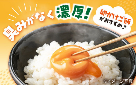 まつもとたまご Lサイズ 赤玉 40個（10個×4パック） ＜松本養鶏場＞[CCD001] 長崎県産 西海市 たまご 卵 玉子 タマゴ 鶏卵 オムレツ 卵かけご飯 朝食 料理 人気 卵焼き 