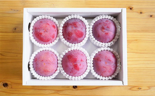 プラム 貴陽 計1kg（5〜6玉）＜竹嶋農園＞ [CEB001] 西海市産 貴陽 プラム すもも 桃 果物 フルーツ 贈答 ギフト 贈り物 プラム 