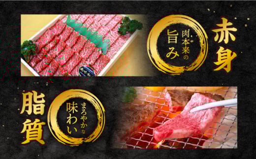 【焼肉2種食べ比べ】長崎和牛 ロース・バラ（焼肉用） 計600g 訳あり ＜スーパーウエスト＞ [CAG139] やきにく 焼き肉 バラ ロース 焼肉 赤身 贅沢 BBQ 焼肉用 やきにく