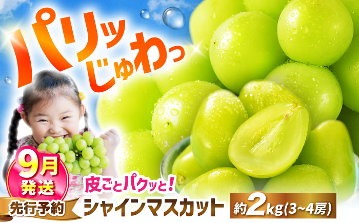 【9月発送】 シャインマスカット 計2kg（3〜4房）＜濱崎農園＞ [CGN006]