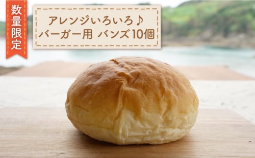 【数量限定】バーガー用バンズ10個＜岡崎製パン所＞ [CEP031]