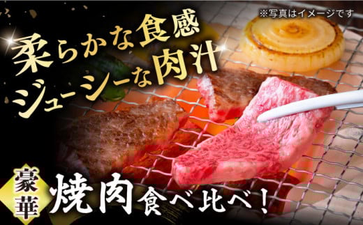 【焼肉2種食べ比べ】長崎和牛 ロース・バラ（焼肉用） 計600g 訳あり ＜スーパーウエスト＞ [CAG139] やきにく 焼き肉 バラ ロース 焼肉 赤身 贅沢 BBQ 焼肉用 やきにく