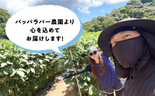 【先行予約】朝採れ オクラ約2kg ＜パッパラパー農園＞ [CFI004 おくら オクラ 野菜 夏野菜 新鮮 やさい おくら 贈答