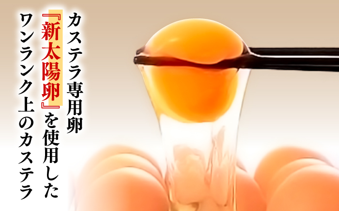 【ギフトにもおすすめ】和三盆カステラ0.8号2本箱入 ＜有限会社長崎本舗＞ [CGO001] 長崎 スイーツ お菓子 カステラ ギフト 贈答