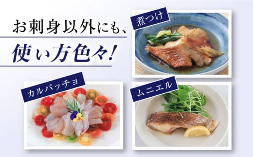 【先行予約】【下処理済み】 真鯛 堪能5点セット ＜大島水産種苗＞ [CBW005] 魚 刺身 ブロック 鯛 タイ たい 魚 刺身 ブロック 贈答 ギフト 冷蔵 