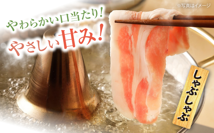 【6回定期便】大西海 SPF豚 肩ロース 2種 計1.2kg 訳あり ＜大西海ファーム＞ [CEK089] 長崎 西海 国産 豚肉 ロース スライス しゃぶしゃぶ 焼肉 SPF豚 しゃぶしゃぶ スライス 豚肉 便利