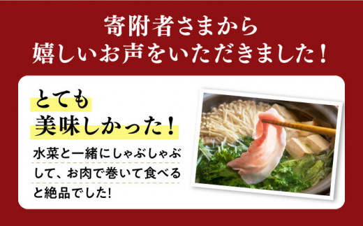 【訳あり】【12回定期便】 豚肉 スライス 長崎うずしおポーク （しゃぶしゃぶ用）700g 西海市産 豚肉 豚スライス しゃぶしゃぶ 定期便 ＜スーパーウエスト＞[CAG030]