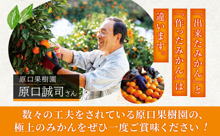 【☆先行予約☆】【数量限定】ハウス木成完熟 なつみ （ マンダリン ）約5kg＜原口果樹園＞ [CCW006] 長崎 西海 みかん ミカン 蜜柑 柑橘 5kg 贈答 ギフト 